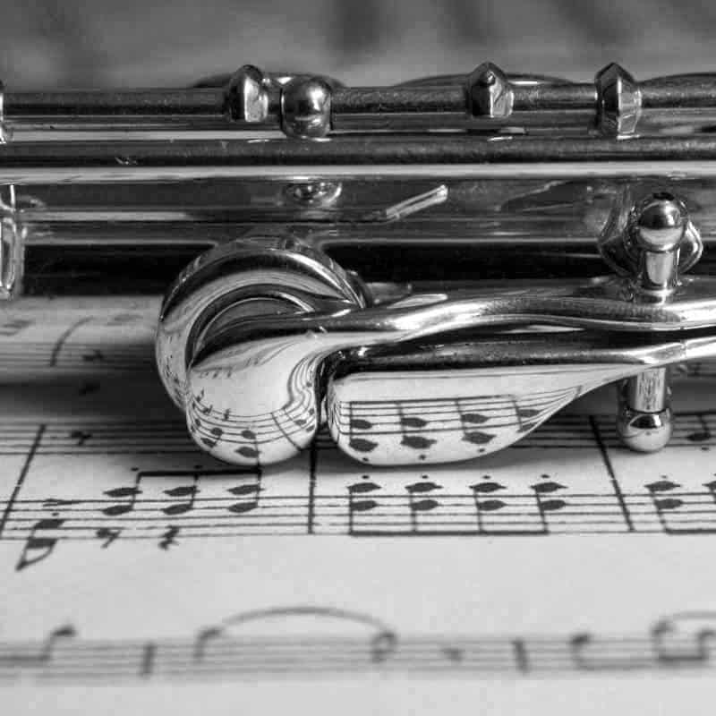 Musikschule Rohrdorferberg | Querflöte