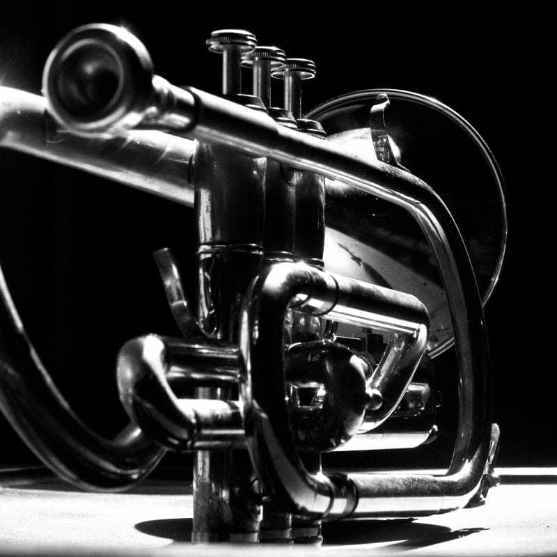 Musikschule Rohrdorferberg | Trompete | Posaune | Es-Horn