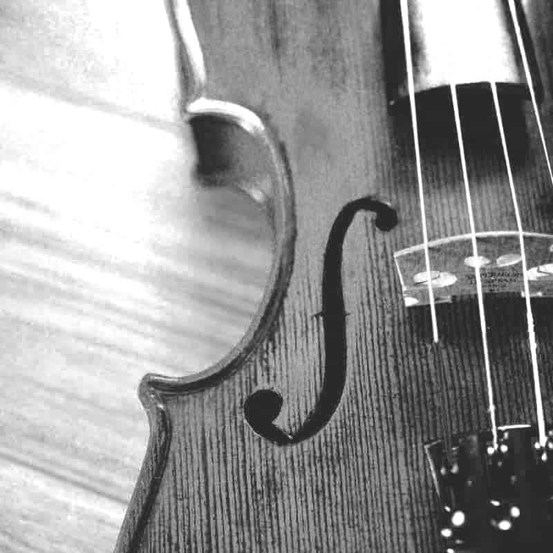 Musikschule Rohrdorferberg | Violine